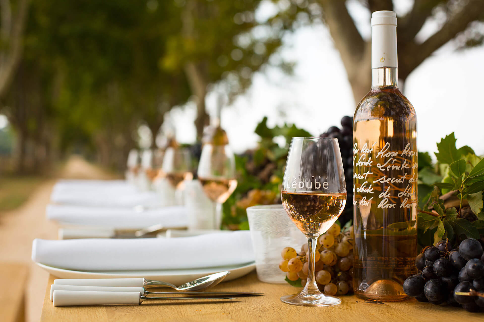 Chateau Leoube, Rose, Wine, South of France, Organic, Depth of Field