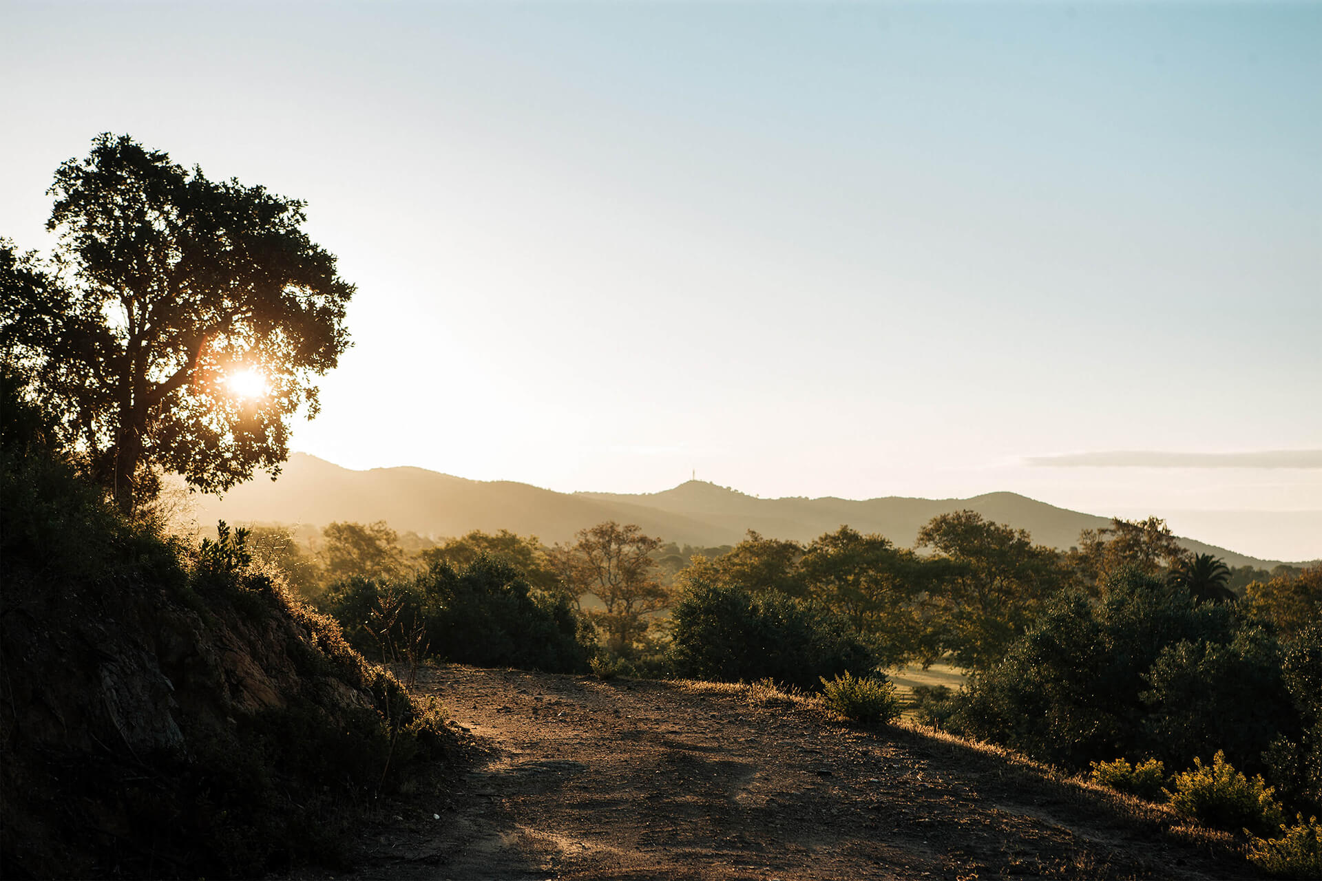 Chateau Leoube, Rose, Wine, South of France, Bamford, Organic, Landscape, Sunrise, Mountains